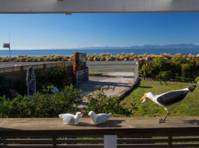 Raisin Town - Marahau Bach, Marahau